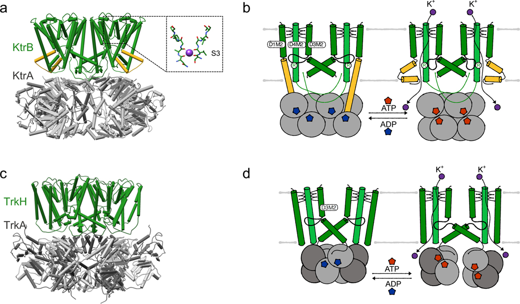 Figure 5.