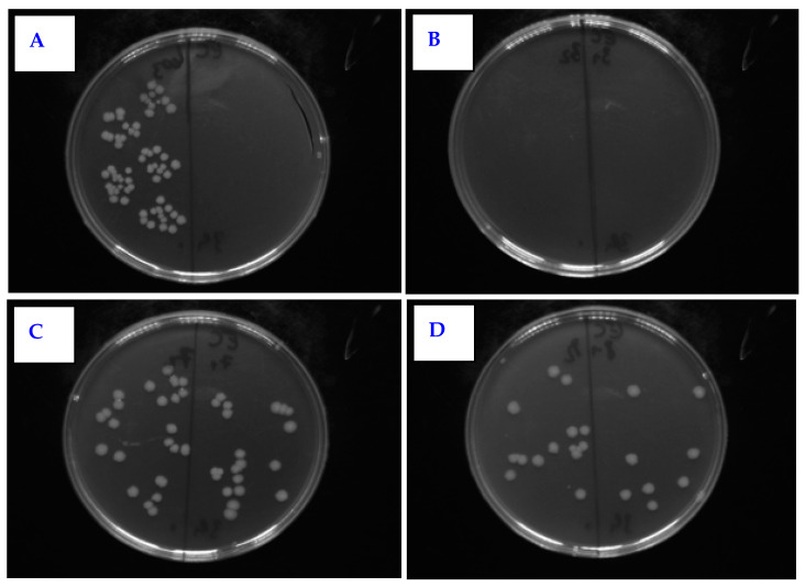 Figure 17