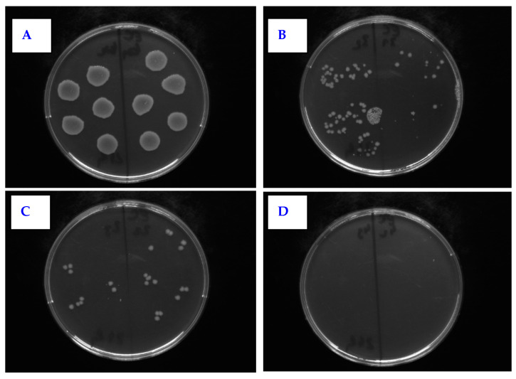 Figure 12