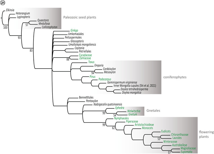 Figure 21