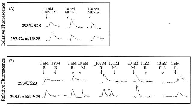 FIG. 6