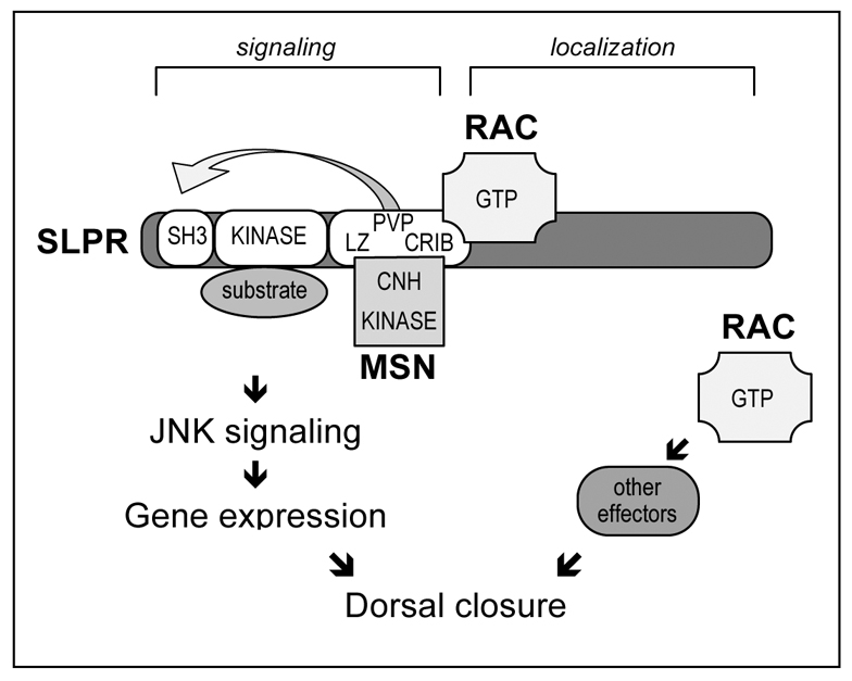 Fig. 8.