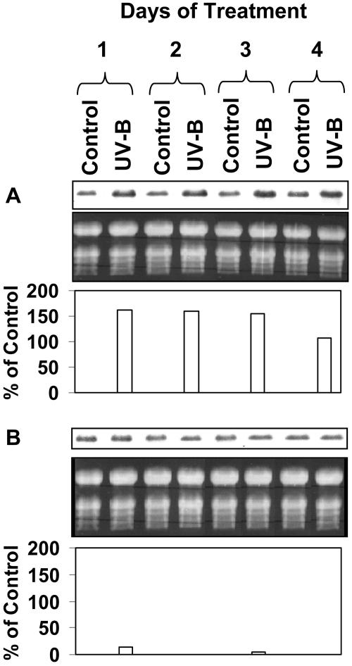 Figure 10.