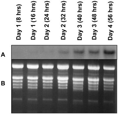 Figure 6.