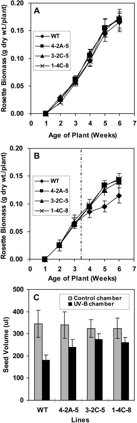 Figure 7.