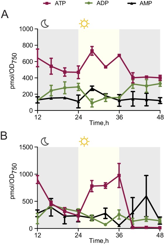 Figure 2—figure supplement 1.