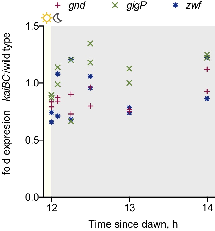 Figure 3—figure supplement 2.