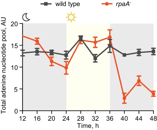 Figure 2—figure supplement 2.