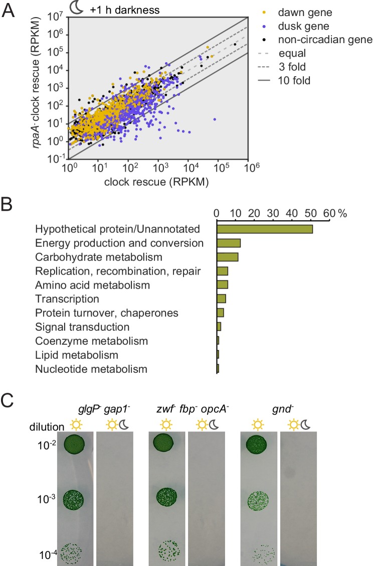 Figure 3—figure supplement 1.