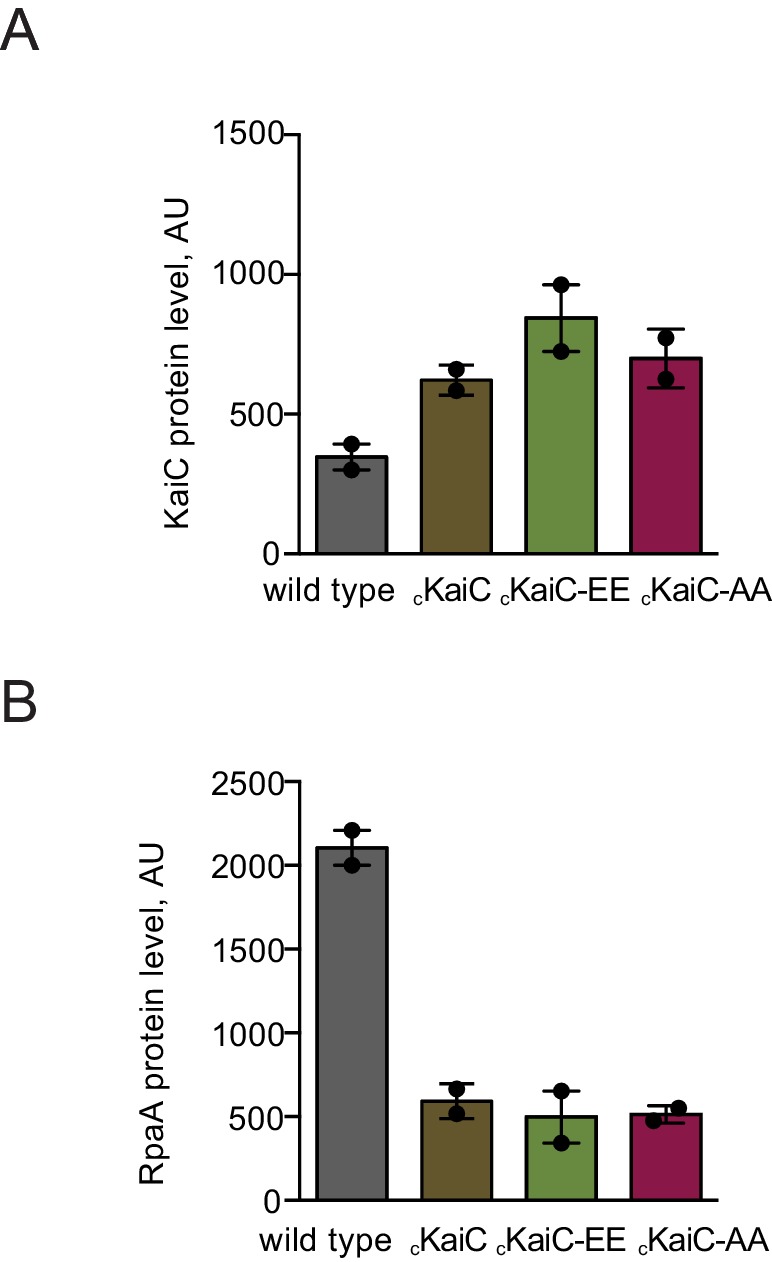 Figure 1—figure supplement 2.