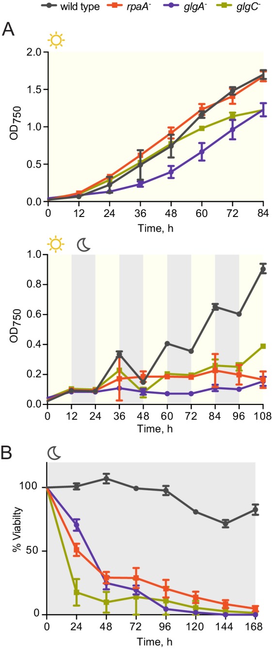 Figure 4—figure supplement 1.