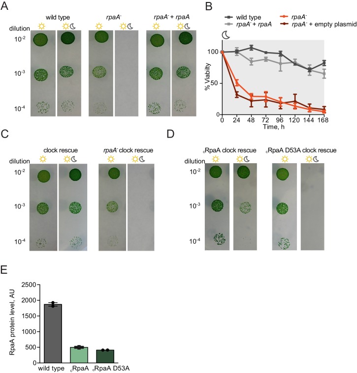 Figure 1—figure supplement 1.