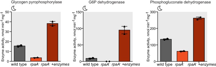 Figure 5—figure supplement 1.