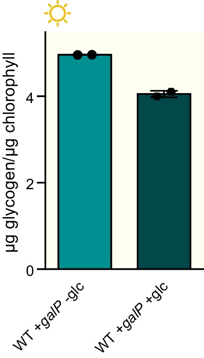 Figure 5—figure supplement 2.