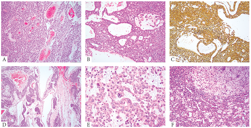 Figure 1: