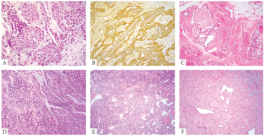 Figure 3: