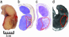 Fig. 3.