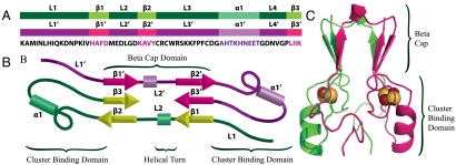 Fig. 1.