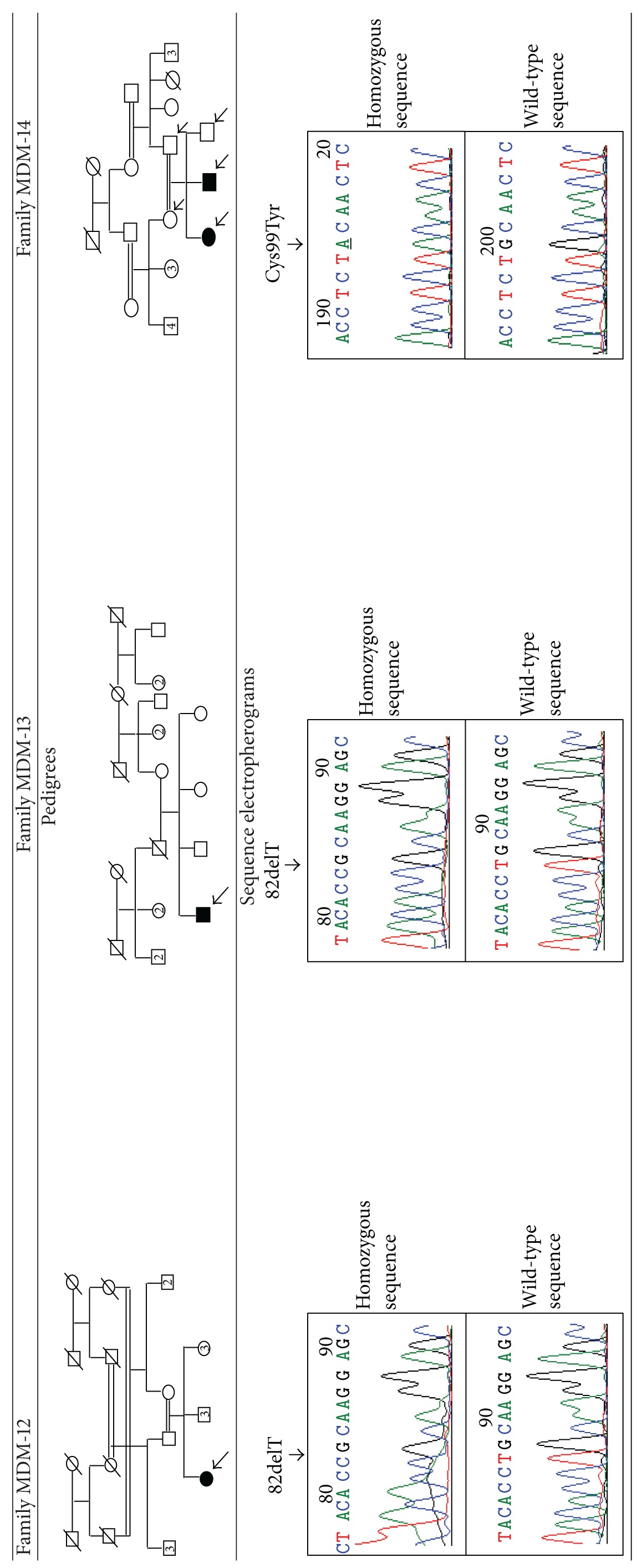 graphic file with name BMRI2013-206803.tab.001.jpg