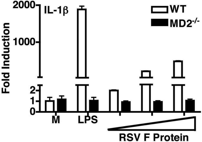 FIG 3 