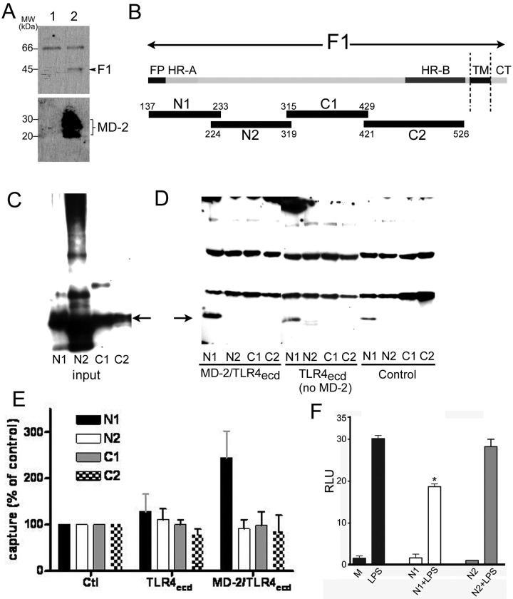 FIG 5 