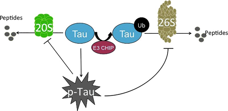 FIG. 7.