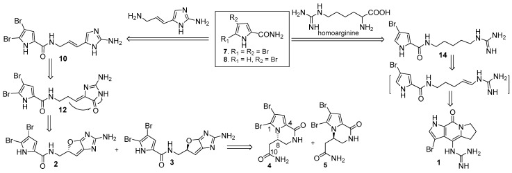 Scheme 1