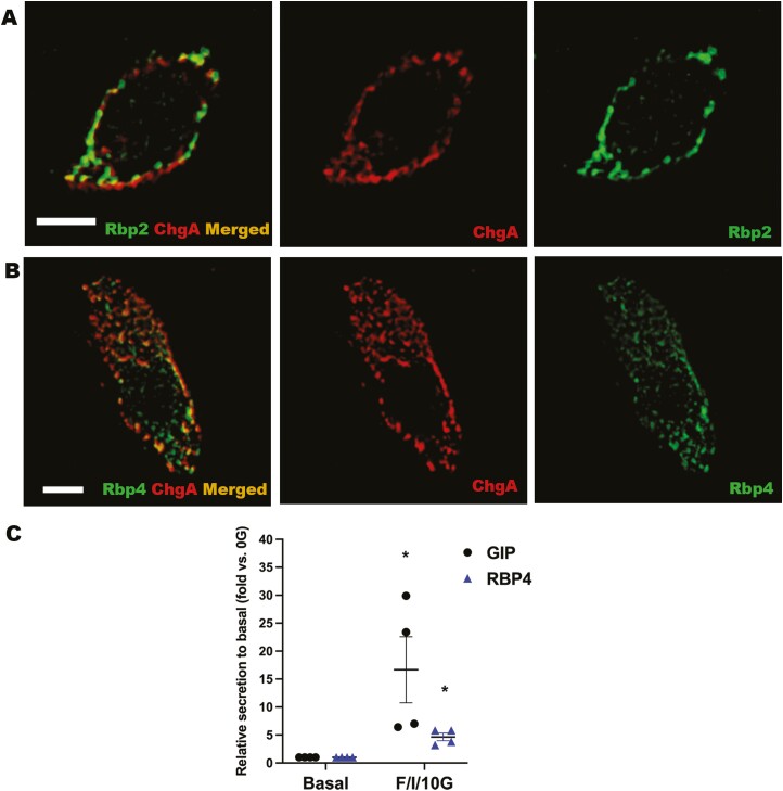 Figure 4.