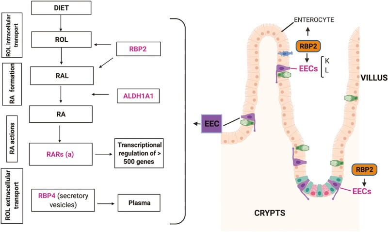 Figure 6.