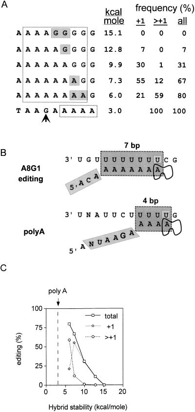 FIG. 6