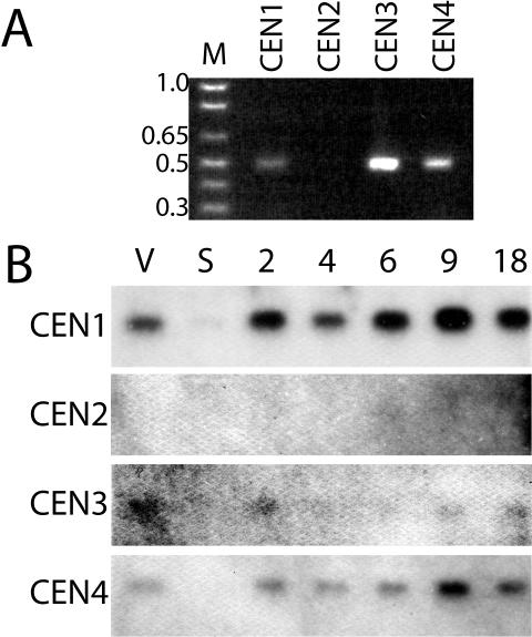 Figure 2.