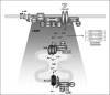 Fig. 1.