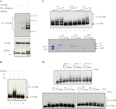 FIGURE 4.