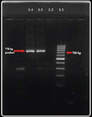 Figure-9