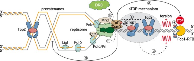 Figure 6.