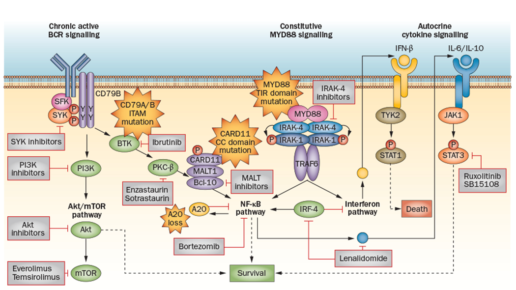 Figure 3 |