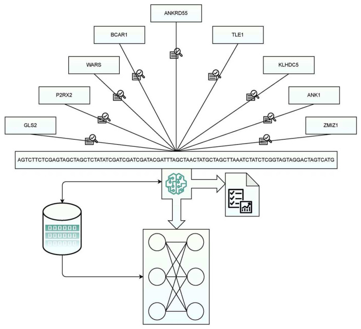 Figure 1