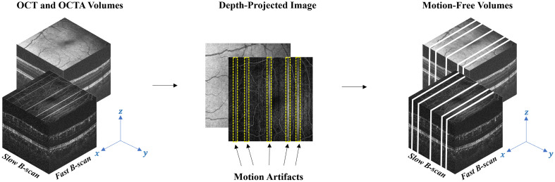 Fig. 3