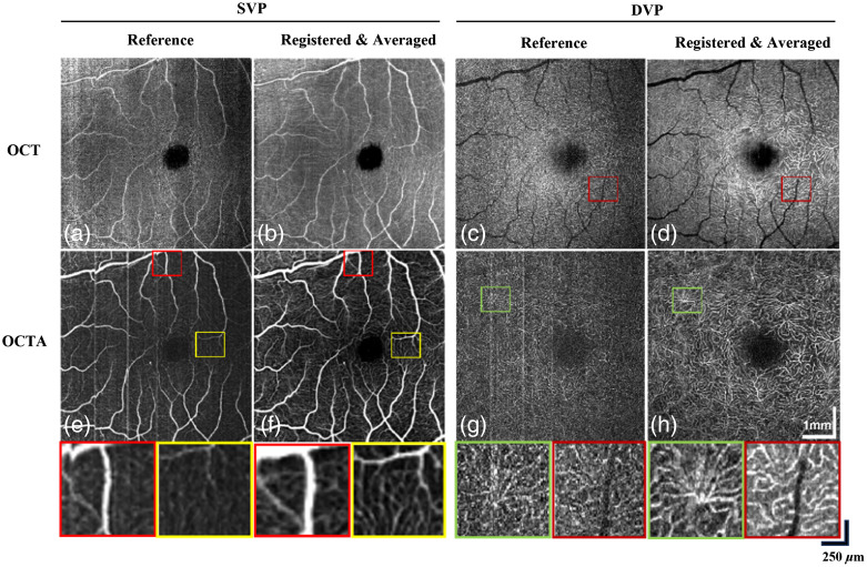 Fig. 7