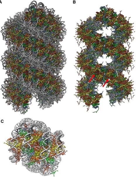 Figure 6