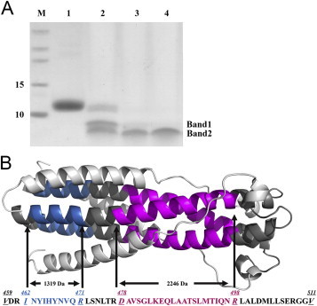 Fig. 4