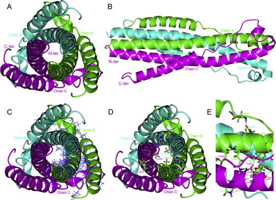 Fig. 1