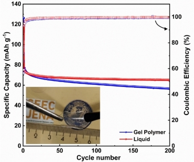 graphic file with name CSSC-14-4836-g007.jpg