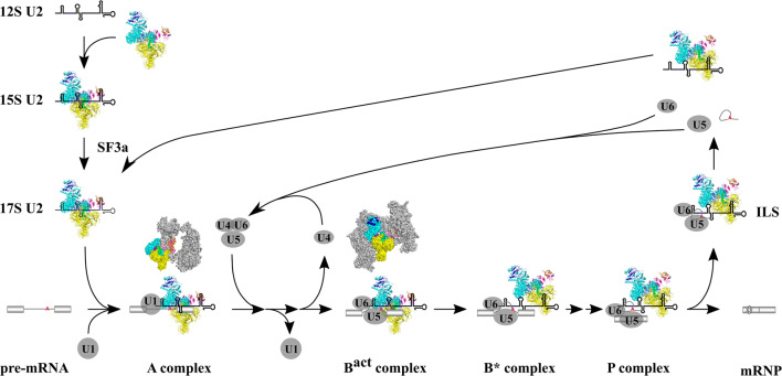 Fig. 2