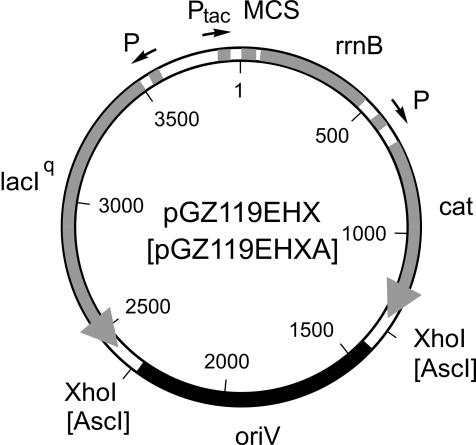 FIG. 1.