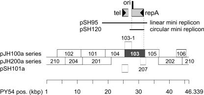 FIG. 2.