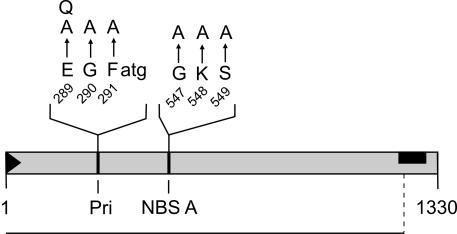 FIG. 7.