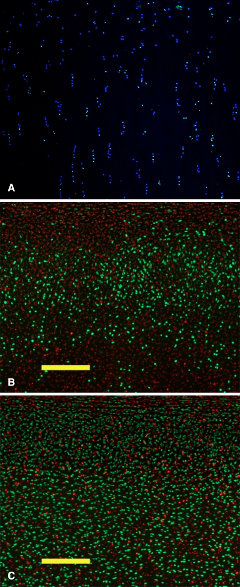 Fig. 2A–C