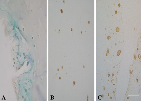 Fig. 6A–C