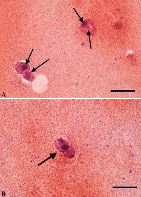 Fig. 7A–B